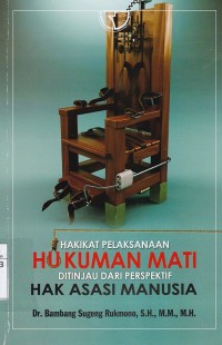 Hakikat Pelaksanaan Hukuman Mati Ditinjau Dari Perspektif Hak Asasi Manusia