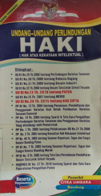 Image of Undang-Undang Perlindungan HAKI (Hak Atas Kekayaan Intelektual)