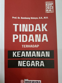 Tindak Pidana Terhadap Keamanan Negara
