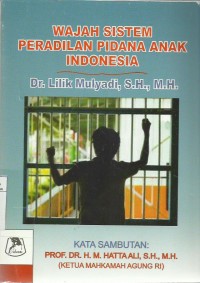 Wajah Sistem Peradilan Pidana Anak Indonesia